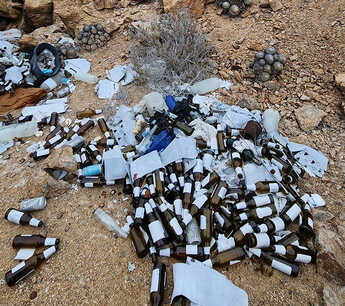 A pile of bottles, cans and other rubbish sits in a desert landscape